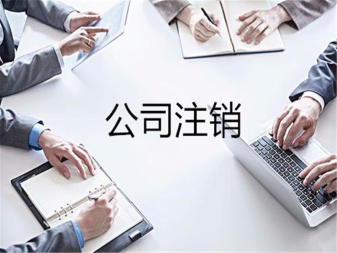 專業(yè)稅務代理與工商服務全解析